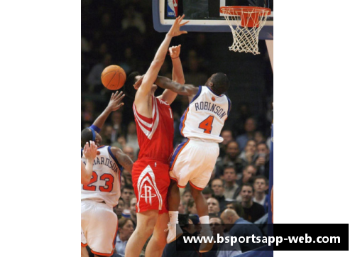 洛端NBA：挑战与荣耀，探索最伟大球员的传奇之路
