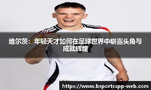 bsports登录入口